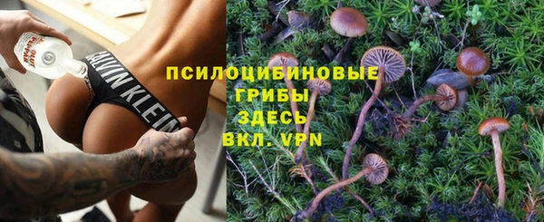 прущий лед Балахна