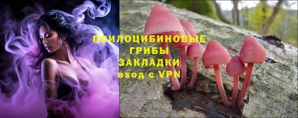 Альфа ПВП Арсеньев