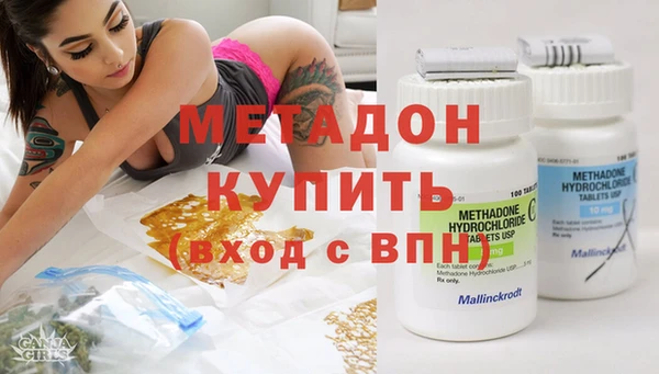 прущие грибы Покровск