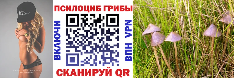 закладка  Пошехонье  Галлюциногенные грибы мухоморы 